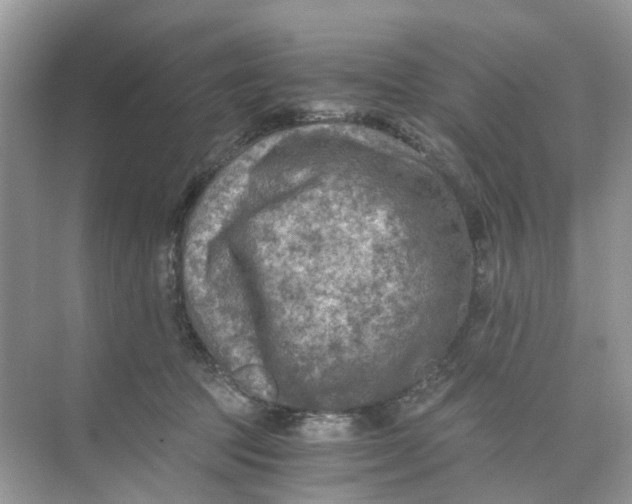 X0000073860369200608312033