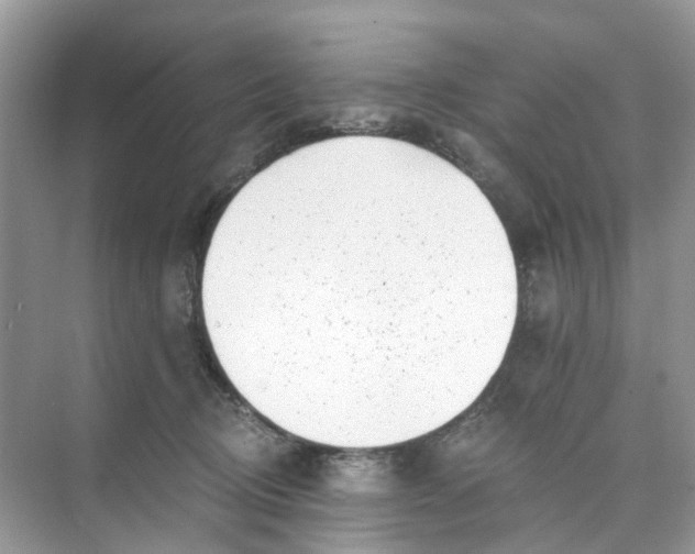 X0000073860370200608312033