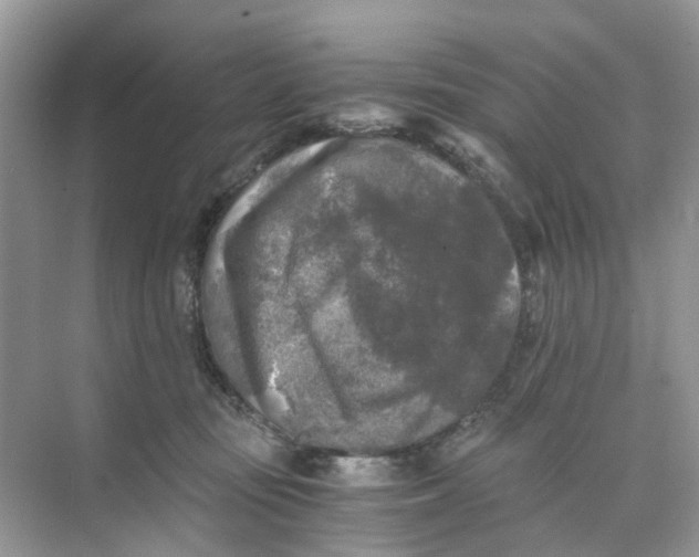 X0000073860371200608312033