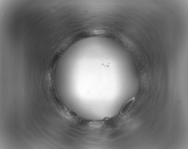 X0000073860373200608312033