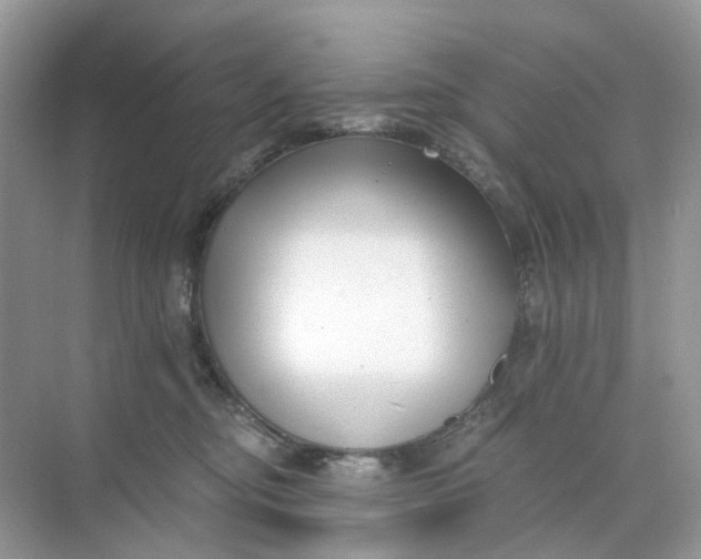 X0000073860374200608312033