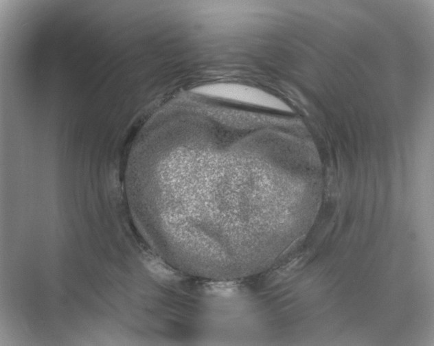 X0000073860377200608312033