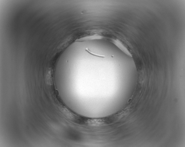 X0000073860378200608312033