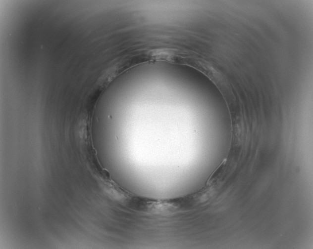 X0000073860379200608312033