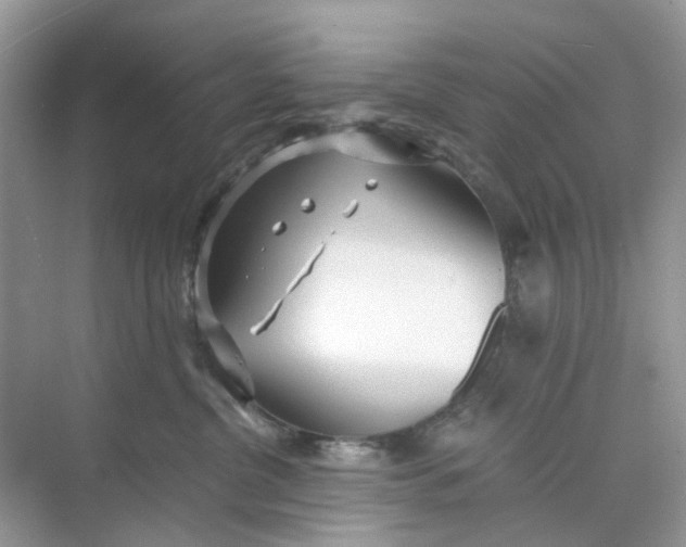 X0000073860380200608312033