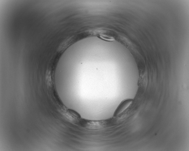 X0000073860381200608312033