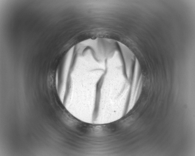 X0000073860382200608312033