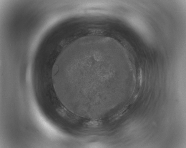 X0000073860383200608312033