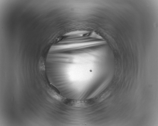 X0000073860384200608312033