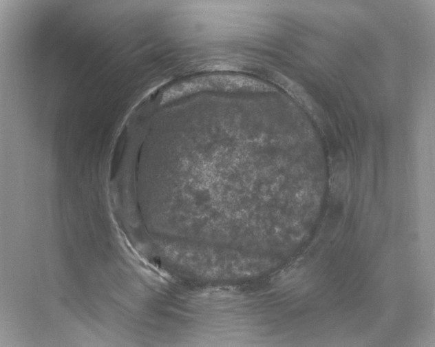 X0000073860386200608312032