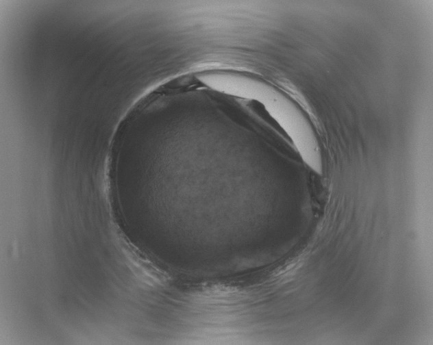 X0000073860387200608312032