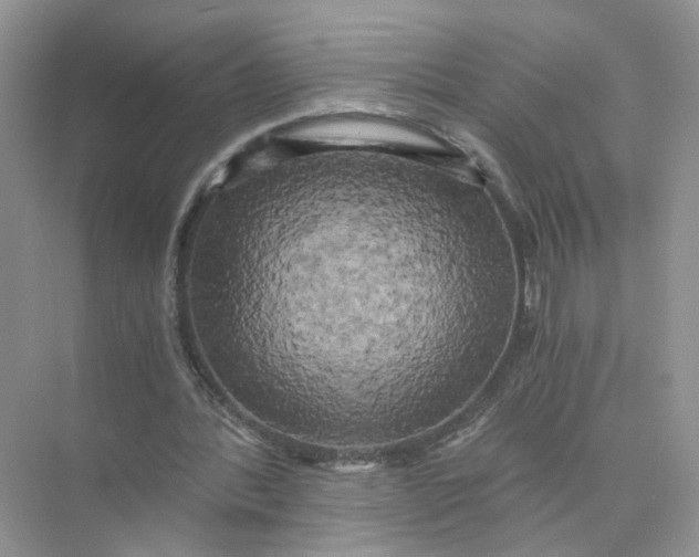 X0000073860388200608312032