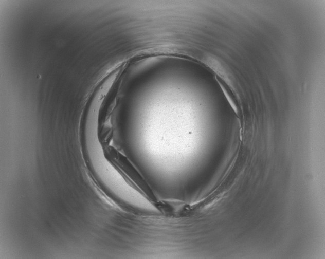 X0000073860389200608312032