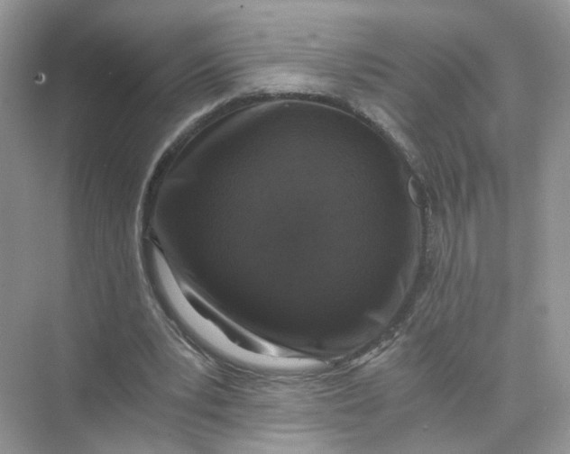 X0000073860391200608312032