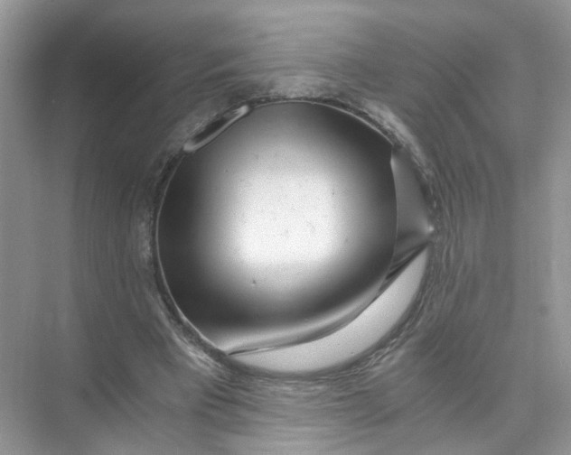 X0000073860393200608312032