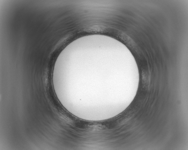 X0000073860396200608312032