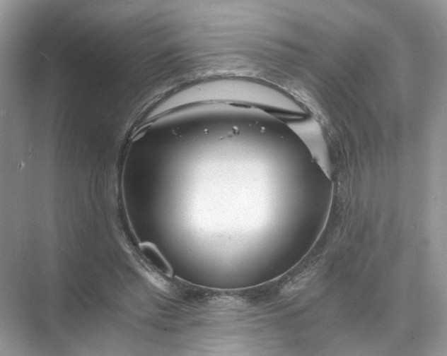 X0000073860397200608312032