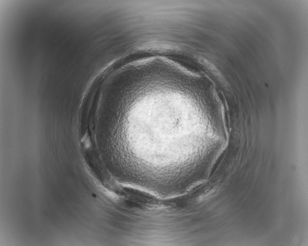 X0000073860399200608312032