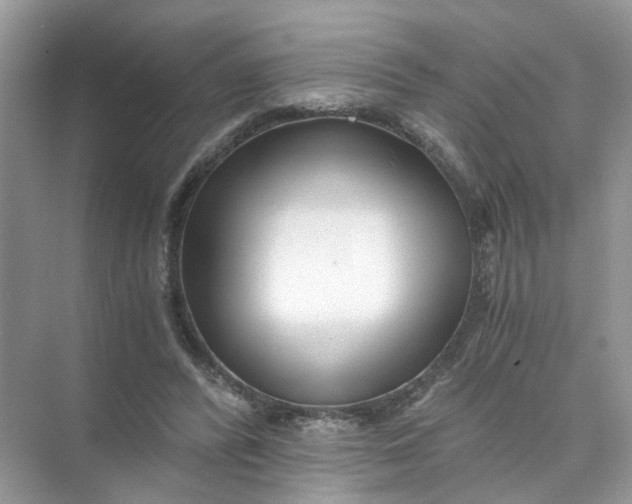 X0000073860400200608312032