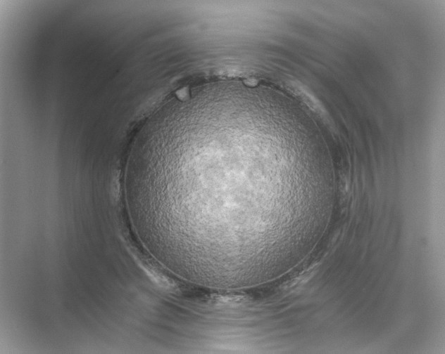 X0000073860401200608312032