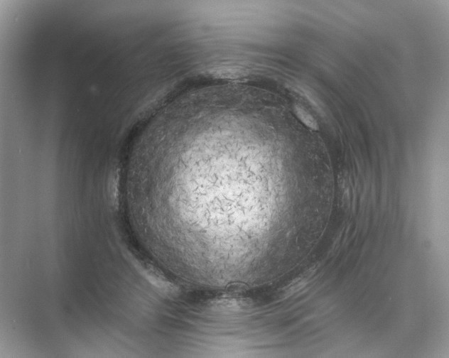 X0000073860404200608312032