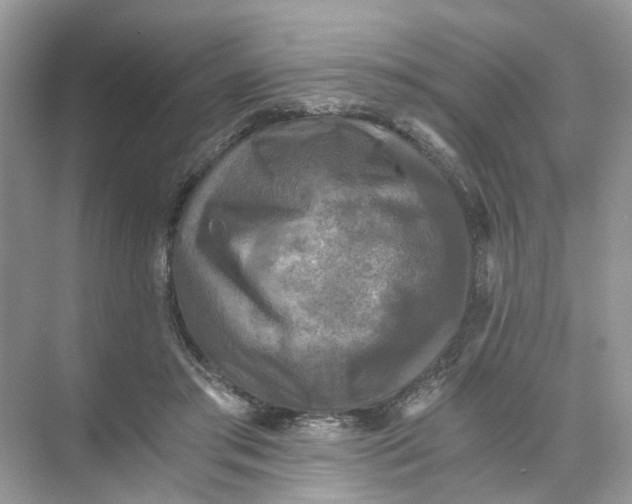 X0000073860405200608312032