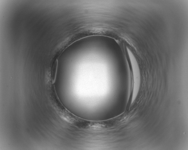 X0000073860407200608312032