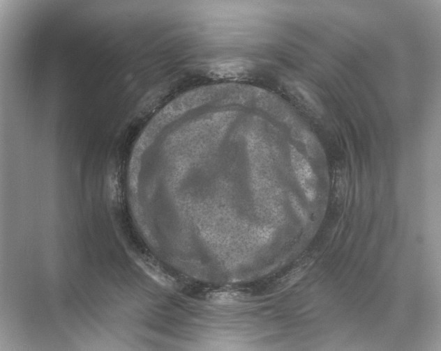 X0000073860408200608312032