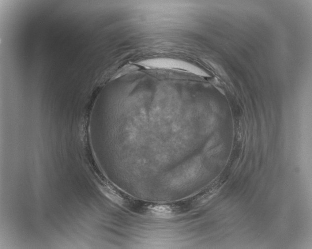 X0000073860409200608312032