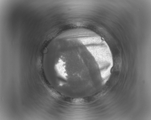 X0000073860410200608312032