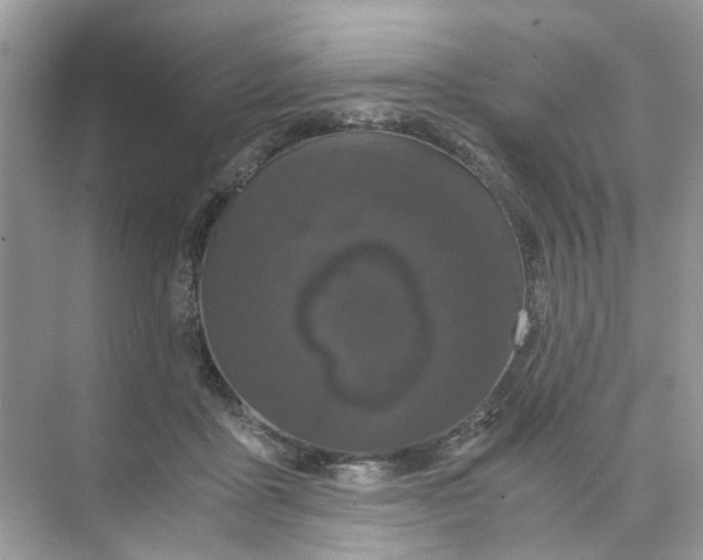 X0000073860411200608312032