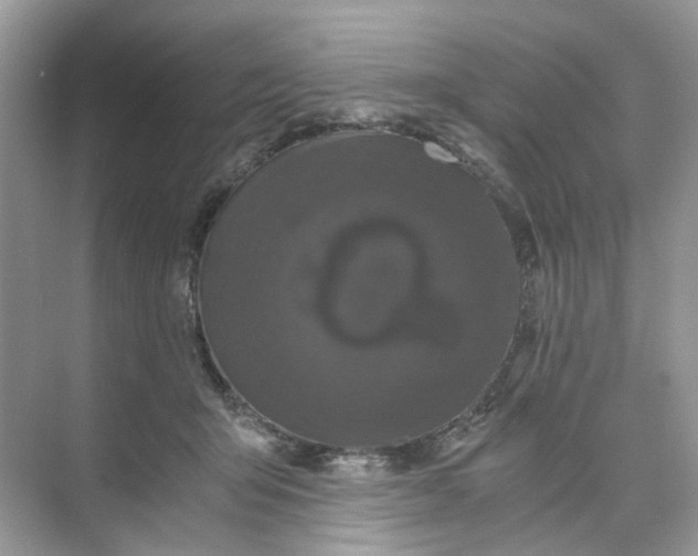 X0000073860415200608312032