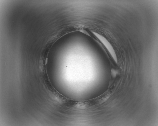 X0000073860416200608312032