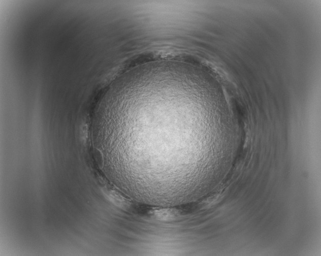 X0000073860417200608312032