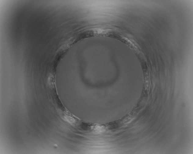 X0000073860419200608312032