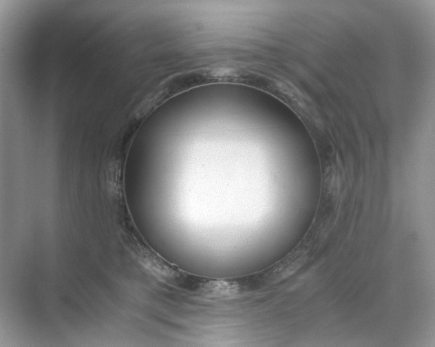 X0000073860421200608312031