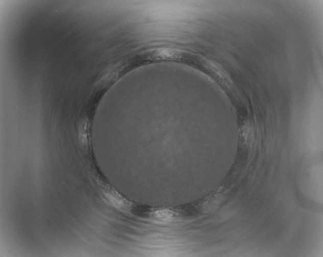 X0000073860423200608312031