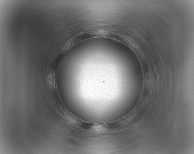 X0000073860425200608312031