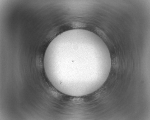 X0000073860426200608312031