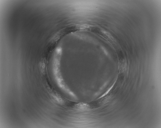 X0000073860427200608312031