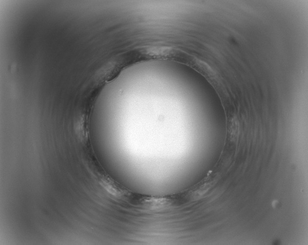 X0000073860428200608312031