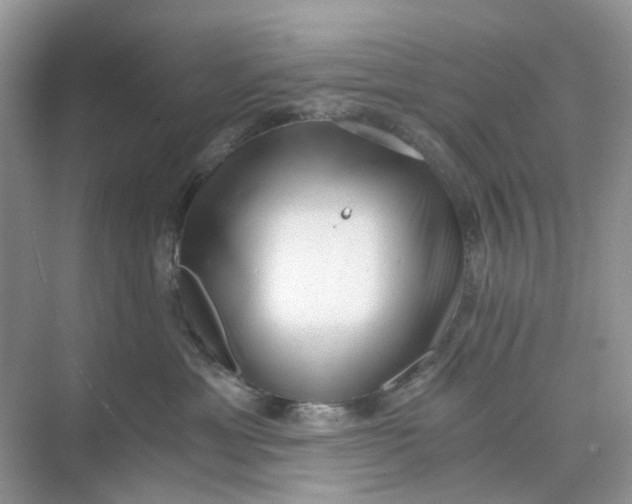 X0000073860429200608312031