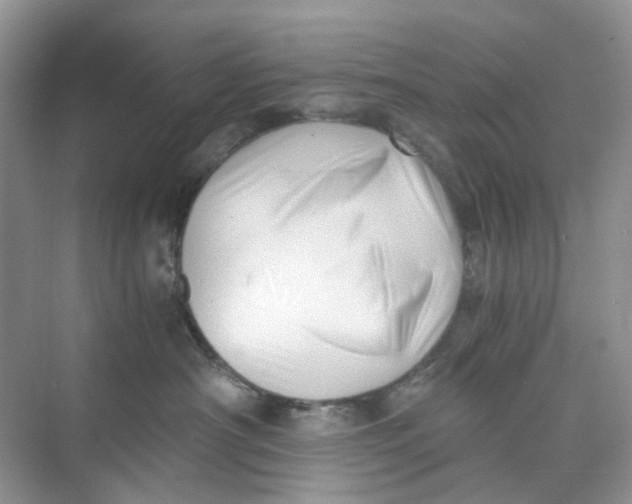 X0000073860430200608312031