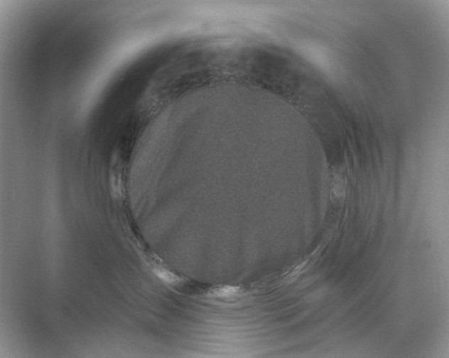 X0000073860431200608312031