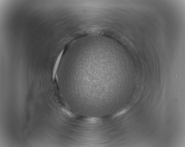 X0000073860432200608312031