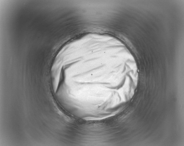 X0000073860433200608312030