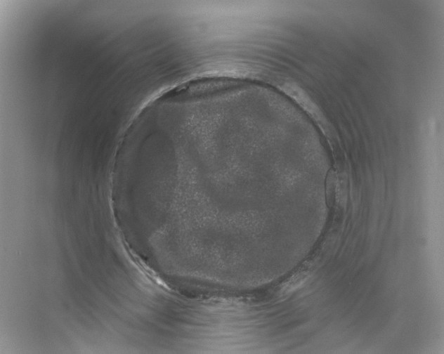 X0000073860434200608312030