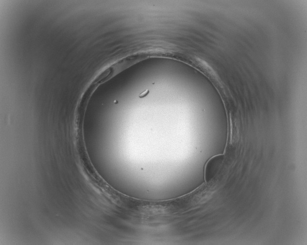 X0000073860435200608312031