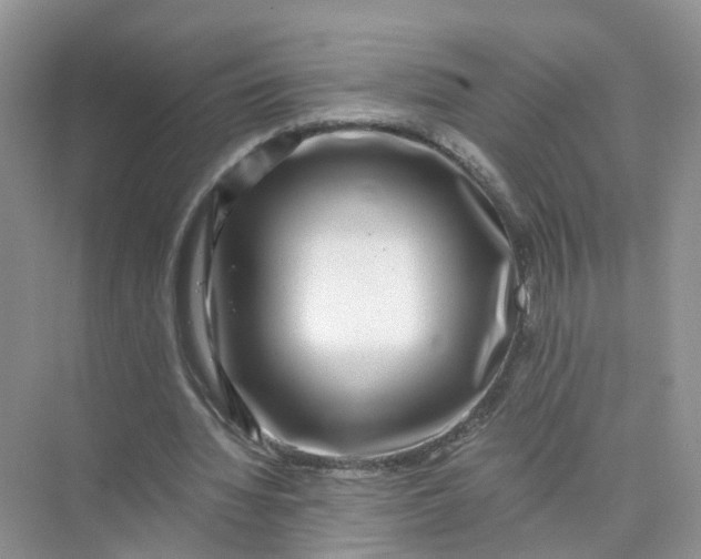 X0000073860436200608312031