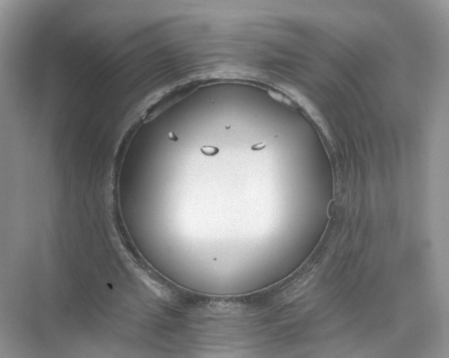 X0000073860437200608312031